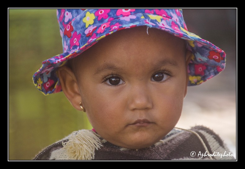 Columbia portraits 54